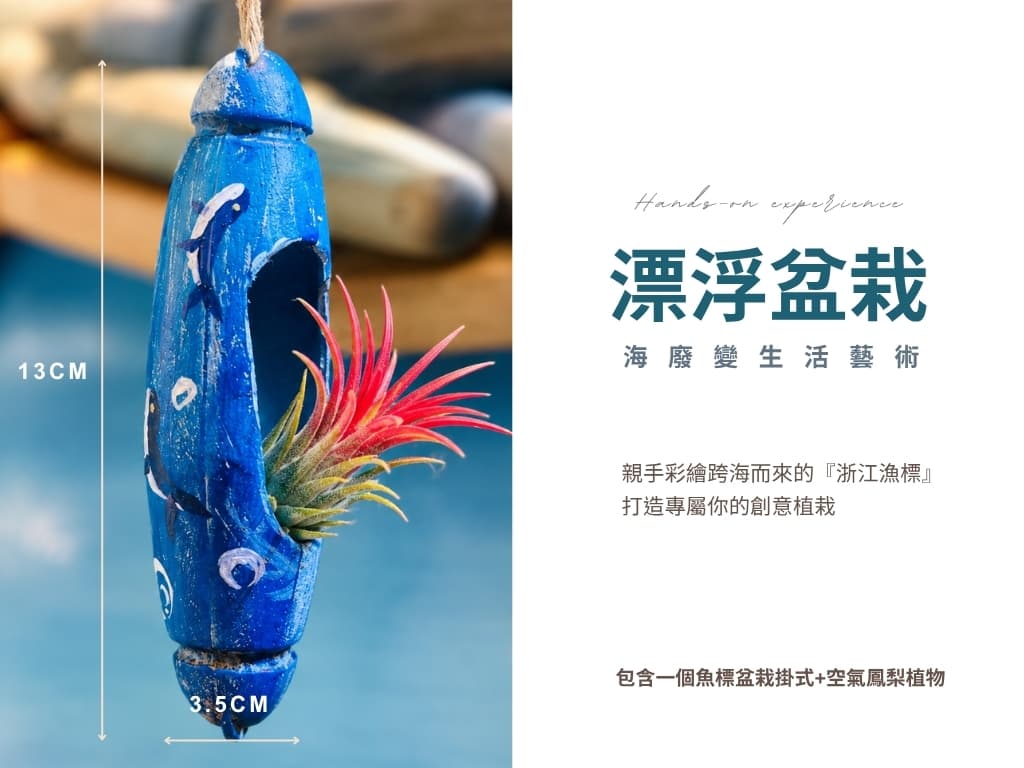 彩繪藍色浙江漁標掛式盆栽,內植空氣鳳梨