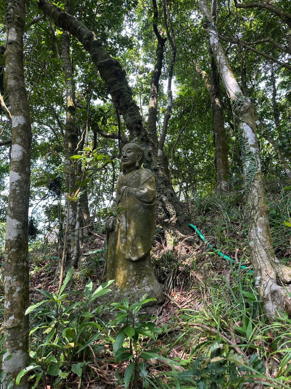 抹茶秘境林間石像